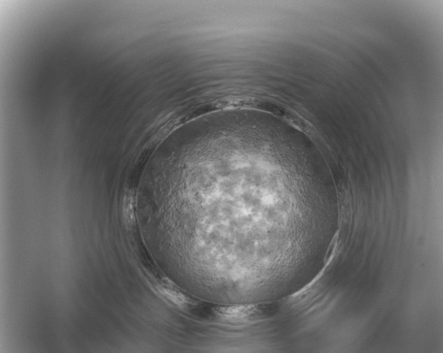 X0000058800191200510071711