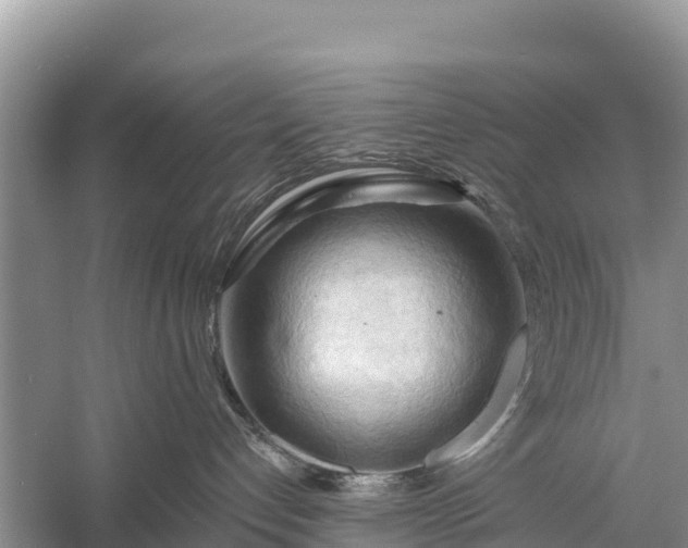 X0000058800192200510071711