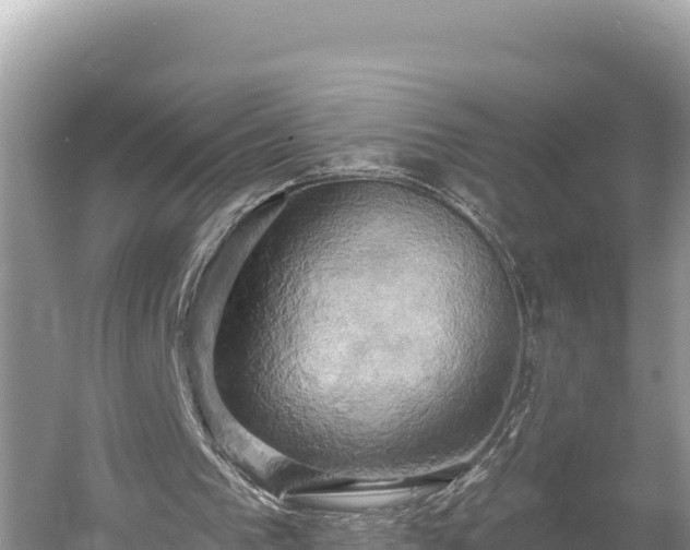 X0000058800193200510071711