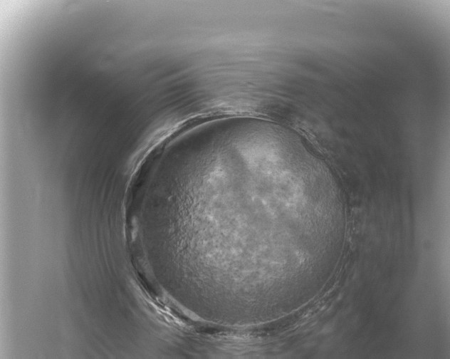 X0000058800194200510071711