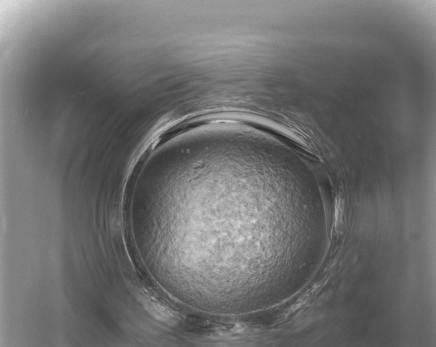 X0000058800195200510071711