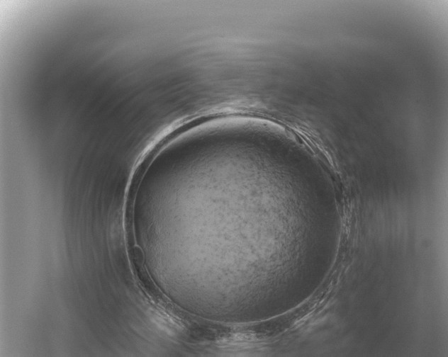 X0000058800196200510071711