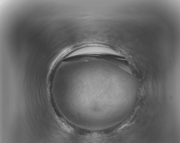 X0000058800197200510071711