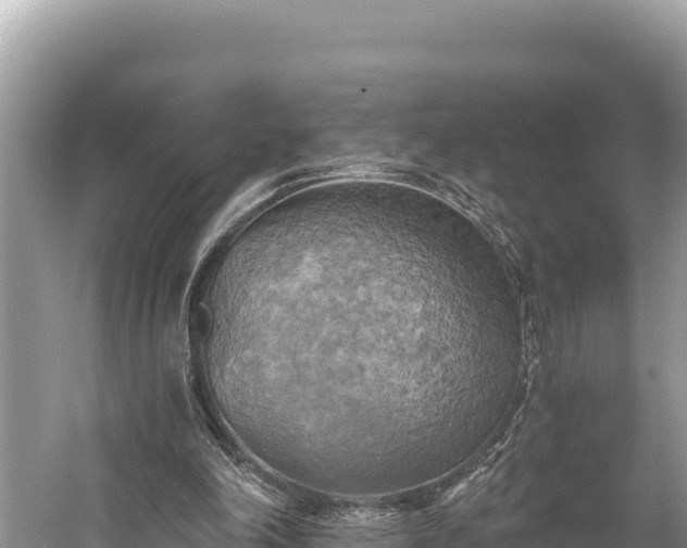 X0000058800198200510071711