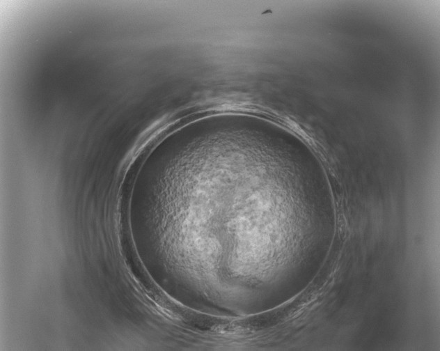 X0000058800199200510071711