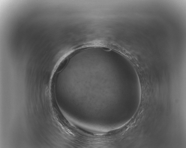 X0000058800200200510071711