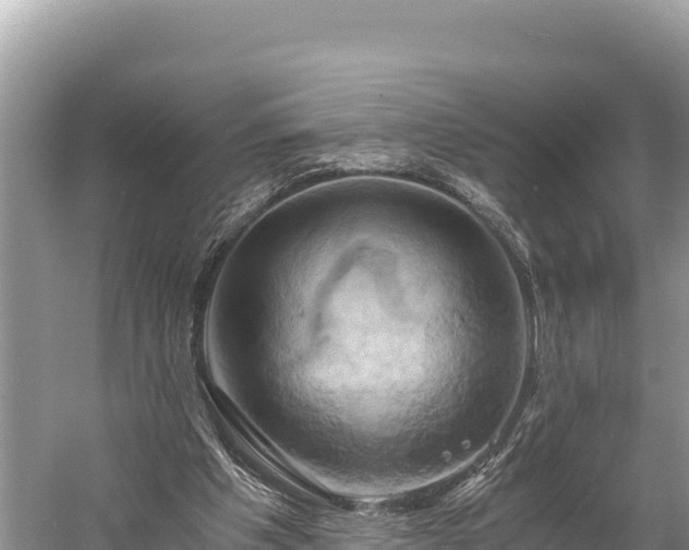 X0000058800201200510071711