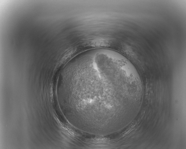 X0000058800202200510071710