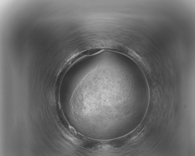 X0000058800203200510071710