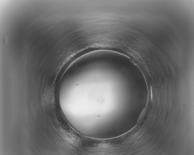 X0000058800204200510071710