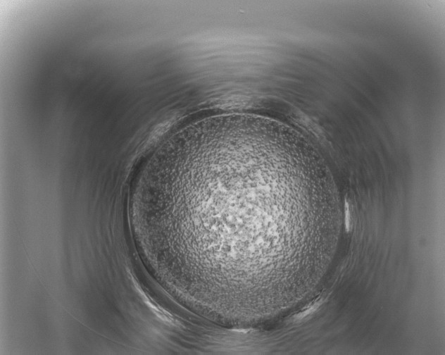 X0000058800205200510071710