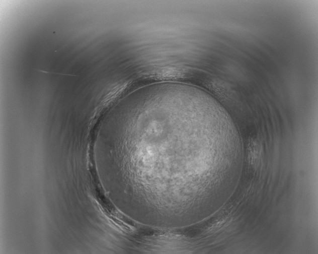 X0000058800206200510071710