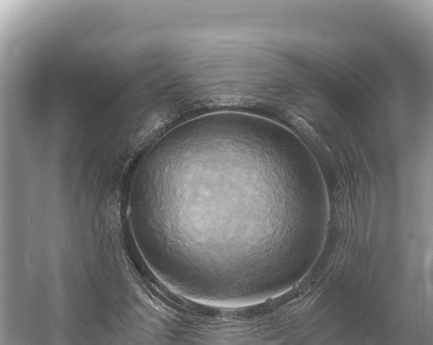 X0000058800207200510071710