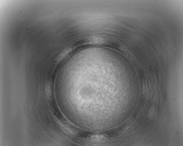 X0000058800208200510071710