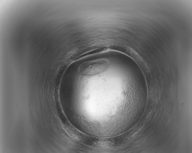 X0000058800209200510071710