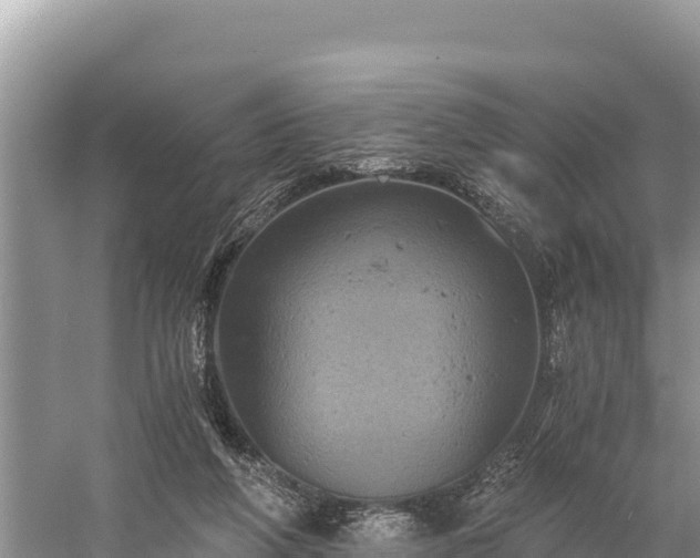 X0000058800210200510071710