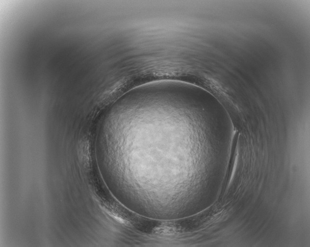 X0000058800211200510071710