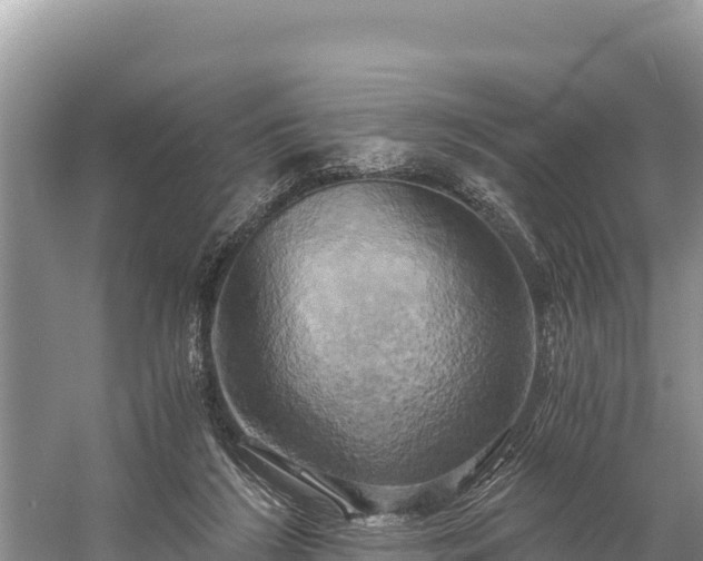 X0000058800212200510071710