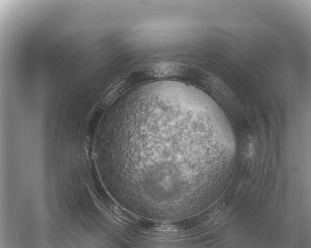 X0000058800214200510071710