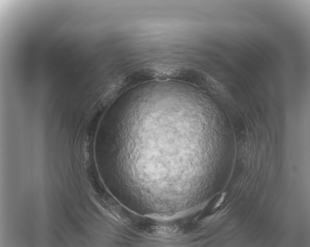 X0000058800215200510071710