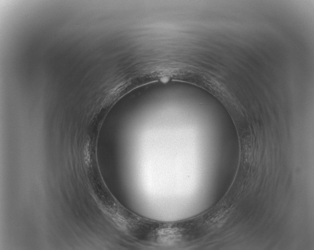 X0000058800216200510071710