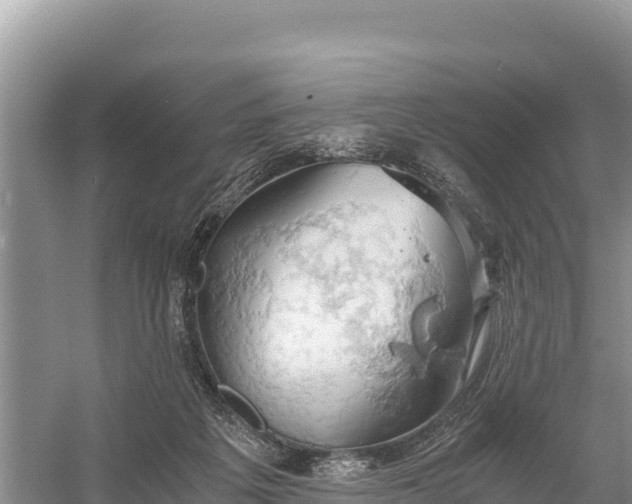 X0000058800217200510071710