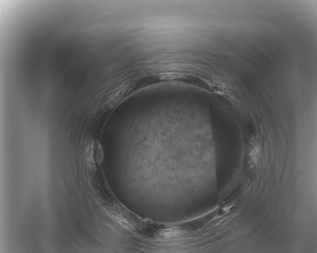 X0000058800219200510071710