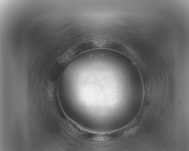 X0000058800221200510071710