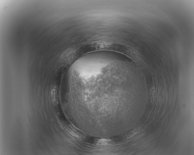 X0000058800222200510071710