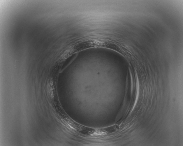 X0000058800223200510071710