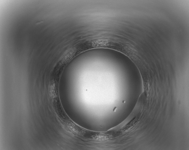 X0000058800224200510071710