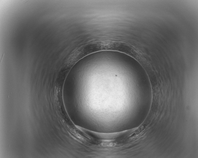 X0000058800225200510071710