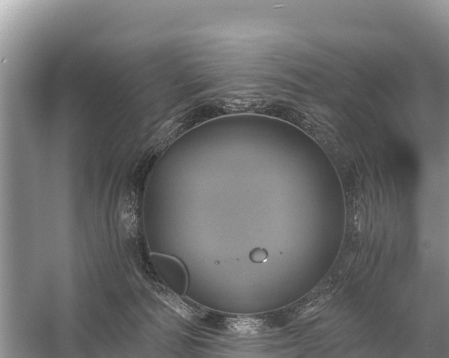 X0000058800226200510071710