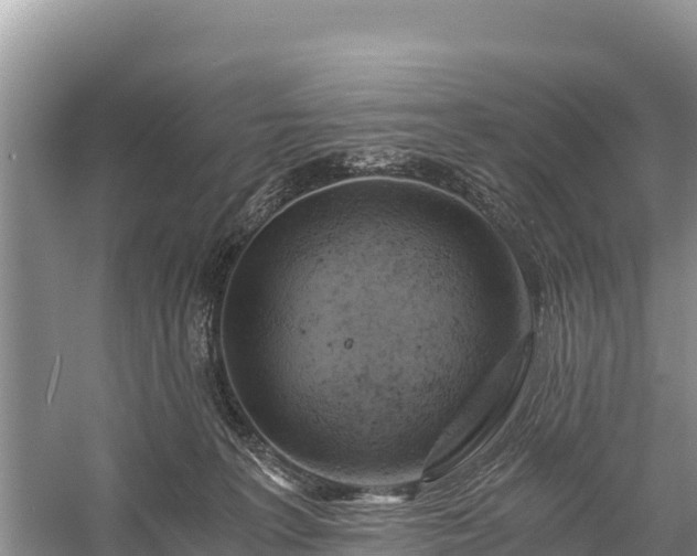 X0000058800227200510071710