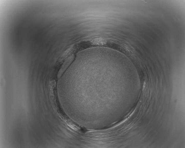 X0000058800229200510071710