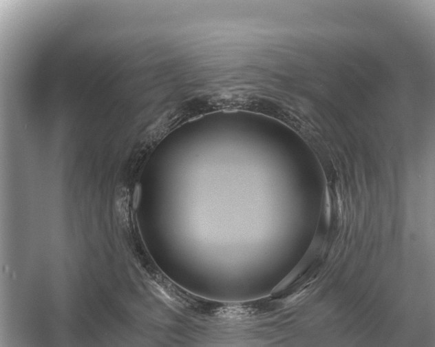 X0000058800231200510071710