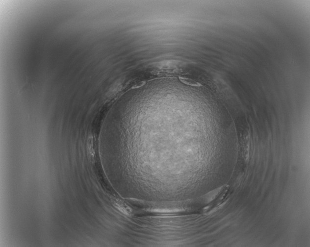 X0000058800232200510071710