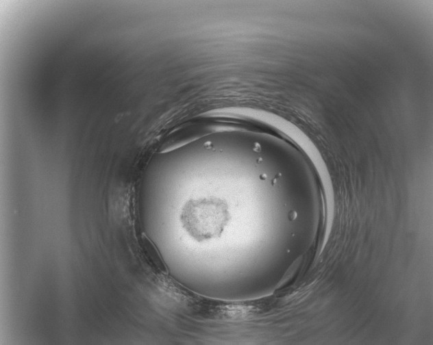 X0000058800233200510071710