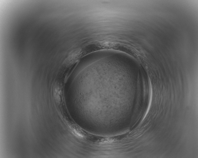 X0000058800235200510071710