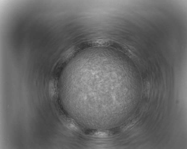 X0000058800236200510071710