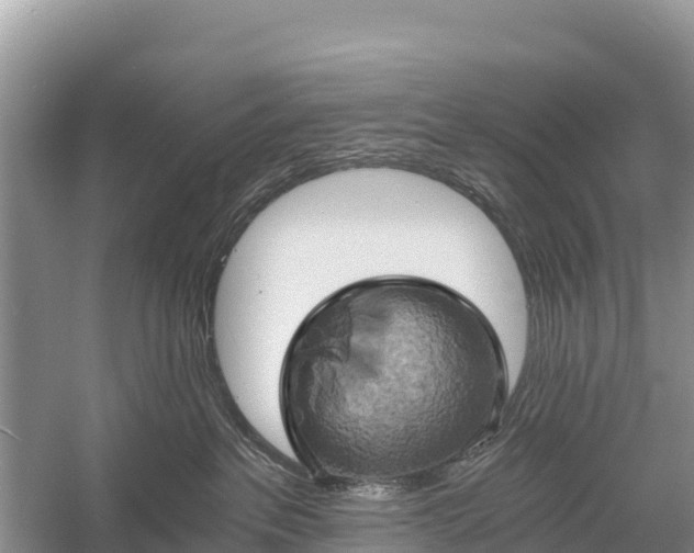 X0000058800237200510071710