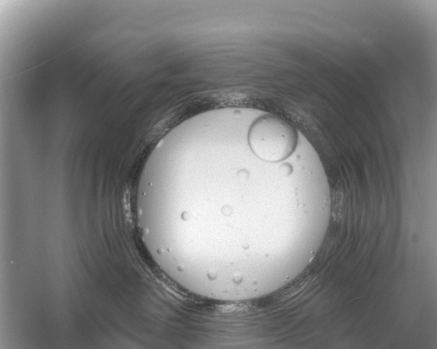 X0000058800238200510071710