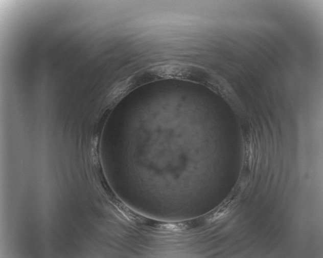 X0000058800239200510071710