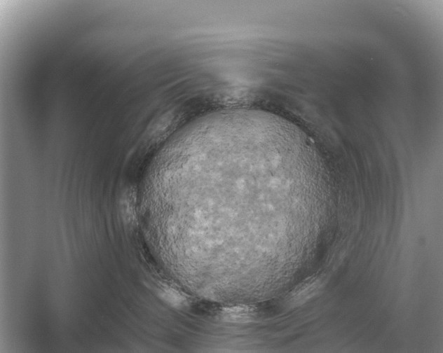 X0000058800240200510071710