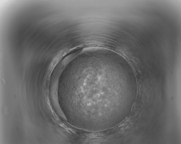 X0000058800241200510071709