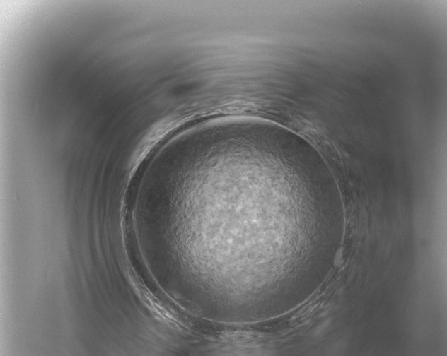 X0000058800242200510071709