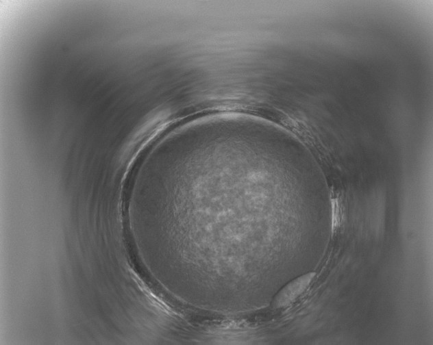 X0000058800243200510071709