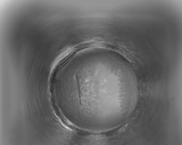 X0000058800245200510071709