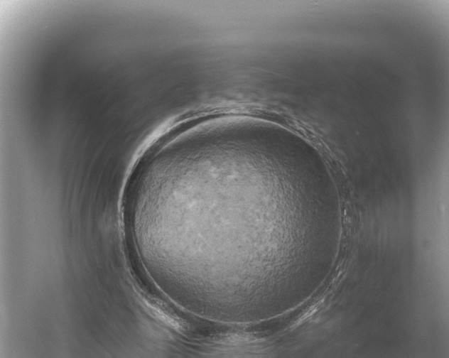 X0000058800246200510071709