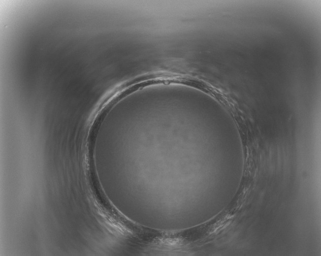 X0000058800247200510071709